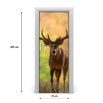 Fototapeta samolepící na dveře jelen v lese