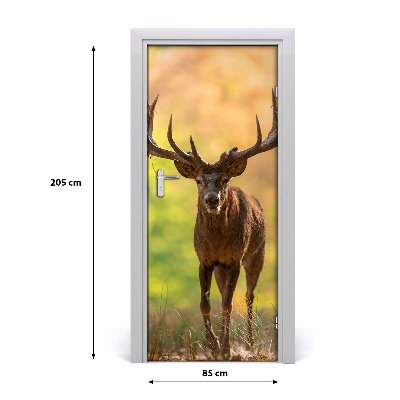 Fototapeta samolepící na dveře jelen v lese