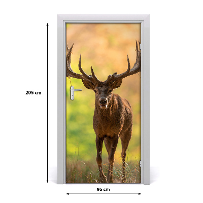 Fototapeta samolepící na dveře jelen v lese