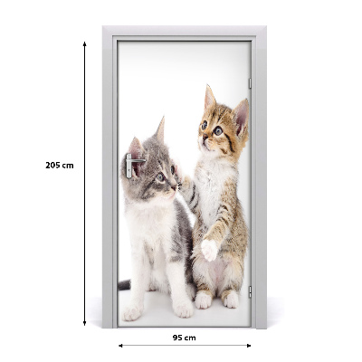 Samolepící fototapeta na dveře Dvě malé kočky