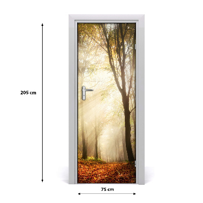 Fototapeta na dveře samolepící les podzim