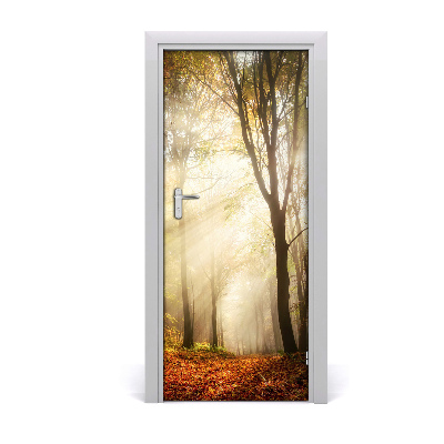 Fototapeta na dveře samolepící les podzim