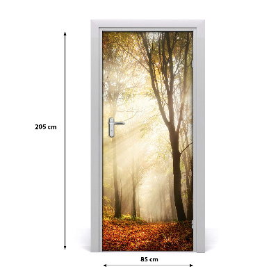 Fototapeta na dveře samolepící les podzim