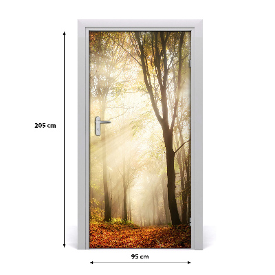 Fototapeta na dveře samolepící les podzim