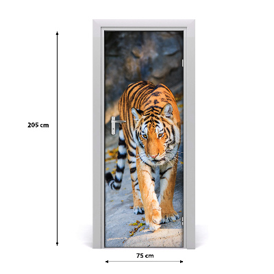 Samolepící fototapeta na dveře Tygr