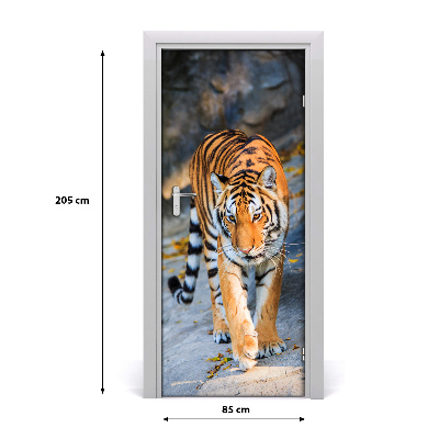 Samolepící fototapeta na dveře Tygr