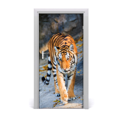 Samolepící fototapeta na dveře Tygr
