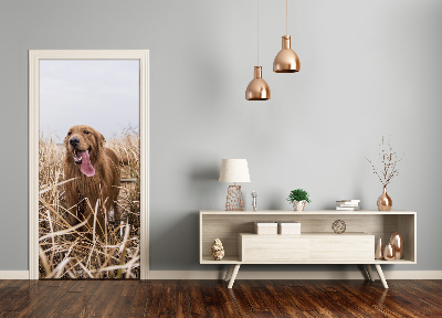 Samolepící fototapeta na dveře Golden retriever