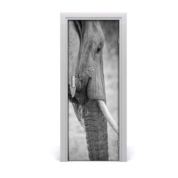 Samolepící fototapeta na dveře Slon