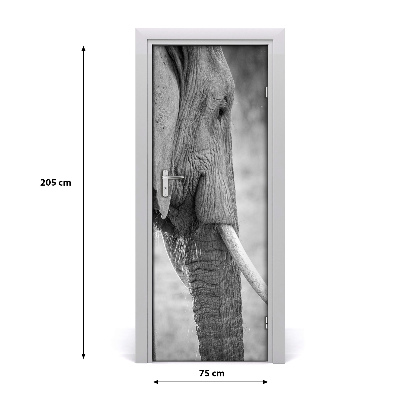 Samolepící fototapeta na dveře Slon