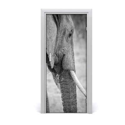 Samolepící fototapeta na dveře Slon