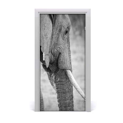 Samolepící fototapeta na dveře Slon