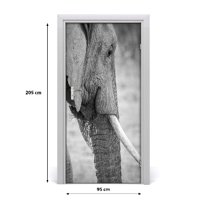 Samolepící fototapeta na dveře Slon