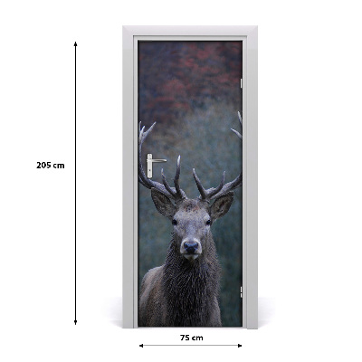 Fototapeta samolepící na dveře jelen příroda