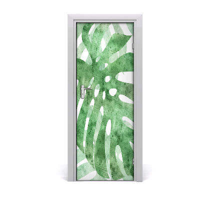 Samolepící fototapeta na dveře Monstera