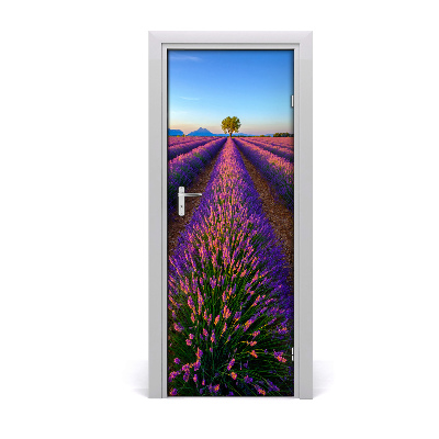 Fototapeta na dveře samolepící pole levandule