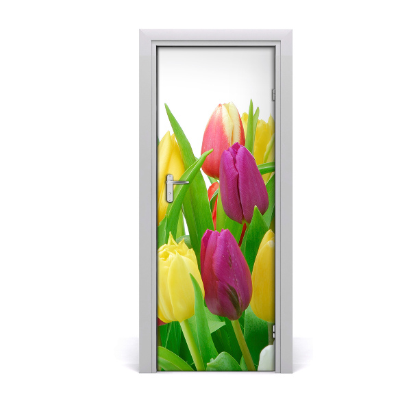 Fototapeta na dveře Květy tulipány