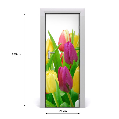 Fototapeta na dveře Květy tulipány