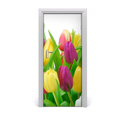 Fototapeta na dveře Květy tulipány