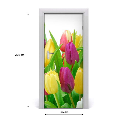 Fototapeta na dveře Květy tulipány