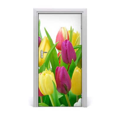 Fototapeta na dveře Květy tulipány
