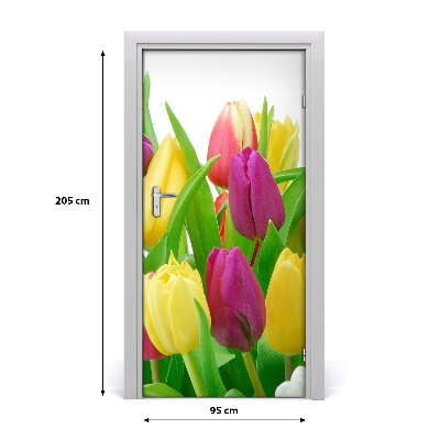 Fototapeta na dveře Květy tulipány