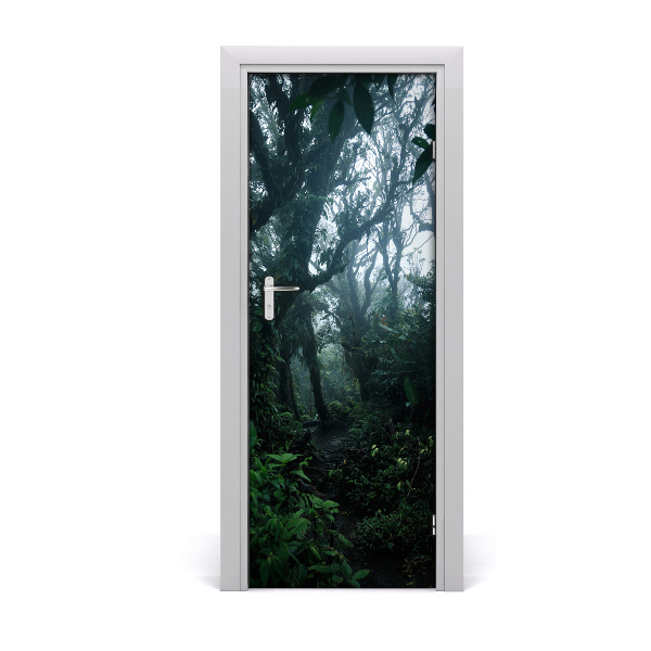 Fototapeta na dveře samolepící deštný les
