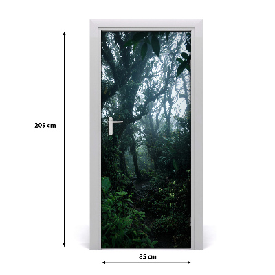 Fototapeta na dveře samolepící deštný les