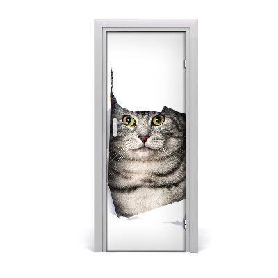Fototapeta samolepící na dveře kočka v díře