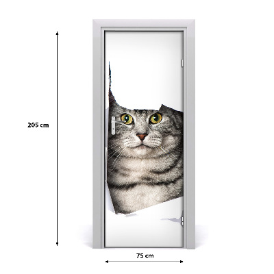 Fototapeta samolepící na dveře kočka v díře