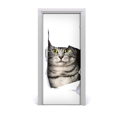 Fototapeta samolepící na dveře kočka v díře