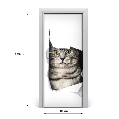Fototapeta samolepící na dveře kočka v díře