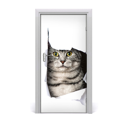 Fototapeta samolepící na dveře kočka v díře