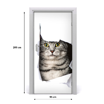 Fototapeta samolepící na dveře kočka v díře