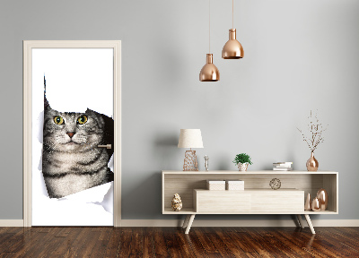 Fototapeta samolepící na dveře kočka v díře