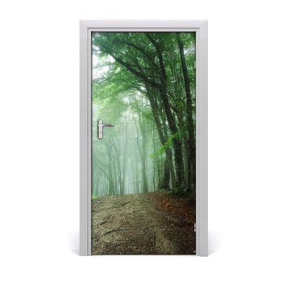 Fototapeta na dveře samolepící mlha v lese
