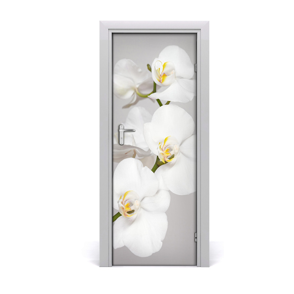 Fototapeta na dveře Bílá orchidej