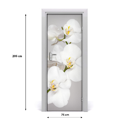Fototapeta na dveře Bílá orchidej