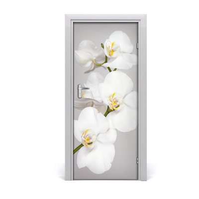 Fototapeta na dveře Bílá orchidej