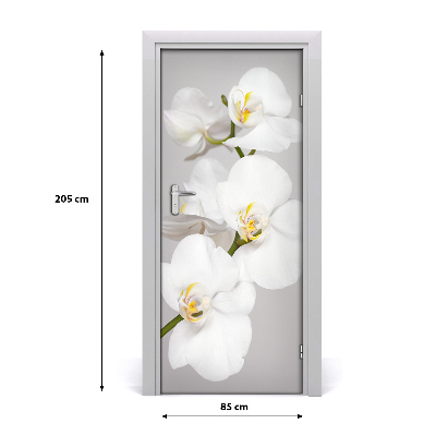 Fototapeta na dveře Bílá orchidej