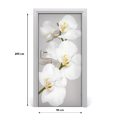 Fototapeta na dveře Bílá orchidej