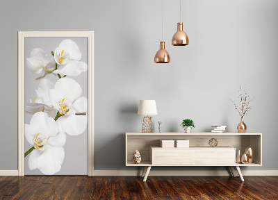 Fototapeta na dveře Bílá orchidej