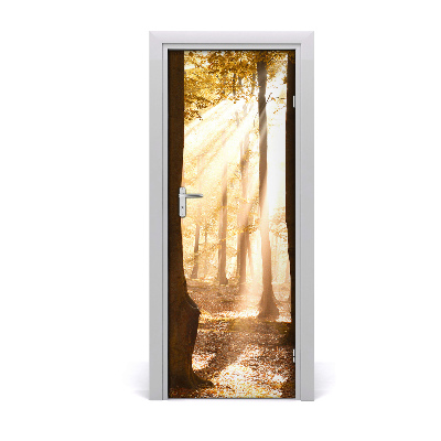Fototapeta na dveře samolepící les podzim