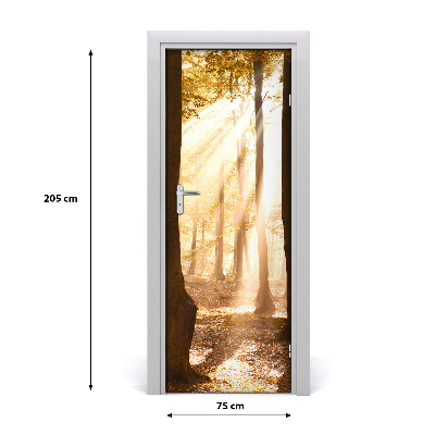 Fototapeta na dveře samolepící les podzim