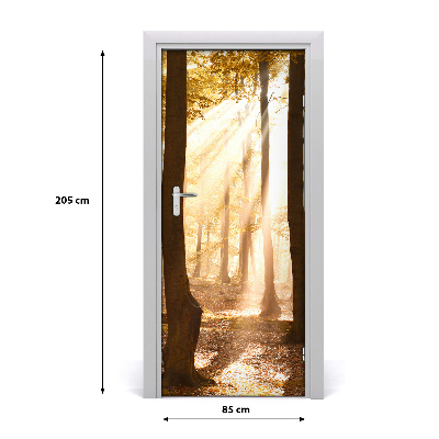 Fototapeta na dveře samolepící les podzim