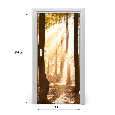 Fototapeta na dveře samolepící les podzim