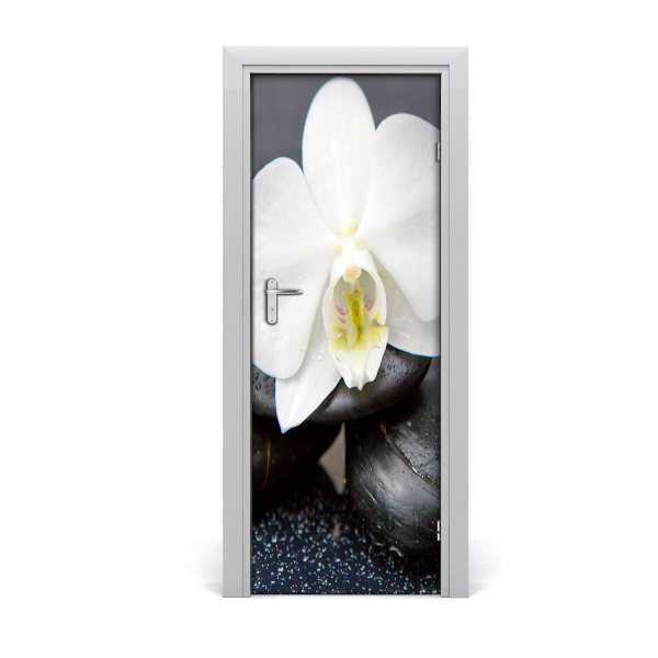 Fototapeta na dveře Orchidej zen