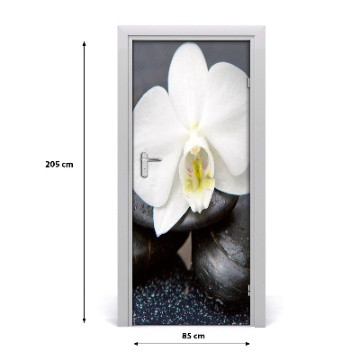 Fototapeta na dveře Orchidej zen