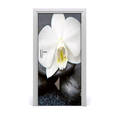 Fototapeta na dveře Orchidej zen