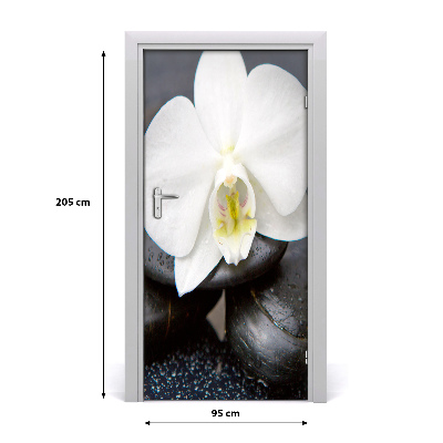 Fototapeta na dveře Orchidej zen
